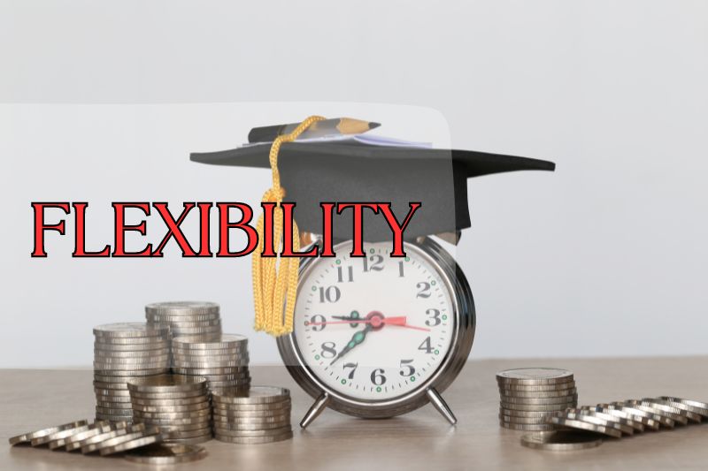 Flexibility and Accessibility Of Student Loans And Scholarships