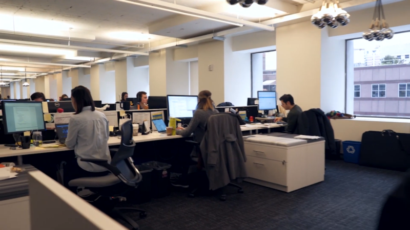 People Working at Desks in A Bright, Open Office