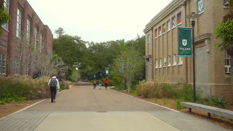 Students walking along a tree-lined path between campus buildings at Tulane University, where the acceptance rate has become increasingly competitive
